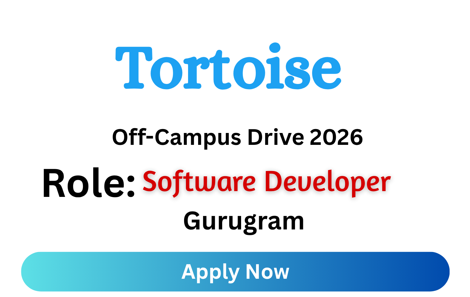 Tortoise Off-campus Drive 2026