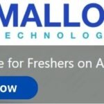 Mallow Technologies Off-campus Drive 2025 hiring Junior Developer