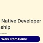 Dev Innovations Work From Home Jobs 2025