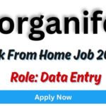 Lorganifo Work From Home Job 2025